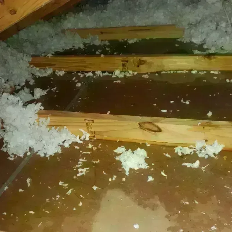 Attic Water Damage in Colstrip, MT